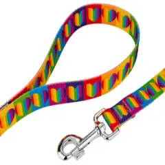 Country Brook Petz&reg; 1 Inch Rainbow Hearts Dog Leash - 6 Foot
