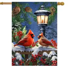 Briarwood Lane Winter House Flag 40x28 For Outdoor Winter Glow Cardinals For Winter House Flag