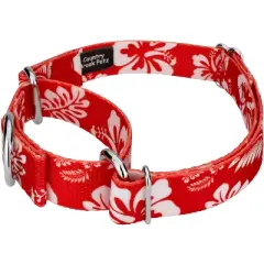 Country Brook Petz - Red Hawaiian Martingale Dog Collar