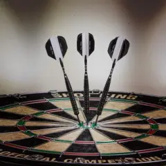 Elkadart Black 150 Jet Black Steel Tip Darts