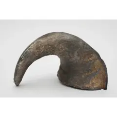 Buffalo Hornz Natural Water Buffalo Horn Chew Dog Treat Medium - 1ct