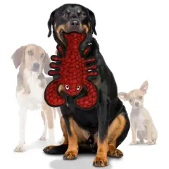 Tuffy Ocean Creature Lobster Dog Toy - Red