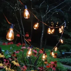 LumaBase Electric String Lights with 10 Edison Bulbs
