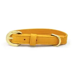 Diphda Sunflower Yellow Cactus Collar