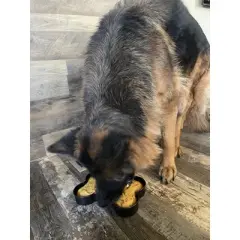 Midlee Nonstick Bone Shape Pan (Cake)