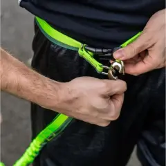 Mighty Paw Hands-Free Bungee Leash | Dual Handles, Up to 150lb, Green