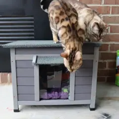 Aivituvin Outdoor Wooden Cat House, Indoor Small Cat House-AIR12-B