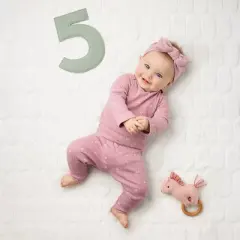 Milestone Felt Numbers - Multi Color - Cloud Island&trade;