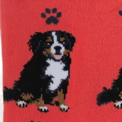 Novelty Socks 14.0" Bernesemountain Dog Socks Happy Tails E & S Pet  -  Socks