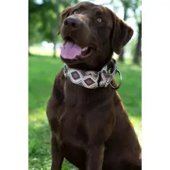 Country Brook Petz - Rattlesnake Martingale Dog Collar