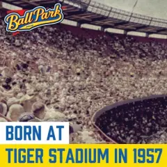 Ball Park Bun Size Franks - 15oz/8ct