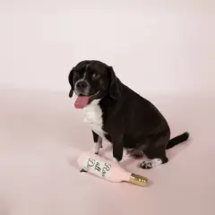 PetShop by Fringe Studio Rose All Day Dog Toy