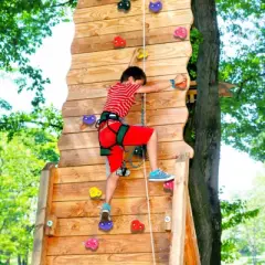 VEVOR 72 Rock Climbing Holds, Multi-Size and Multi-Colored Climbing Rocks for Kids and Adults, Rock Wall Holds