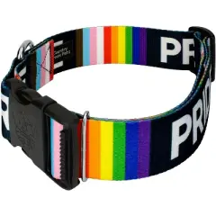 Country Brook Petz 1 1/2 Inch Deluxe Pride Dog Collar