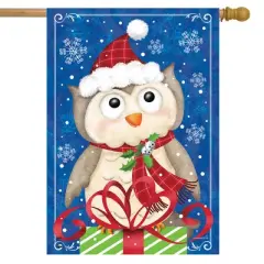 Briarwood Lane House Flag 40x28 For Outdoor Christmas Owl House Flag Flag For Christmas House Flag