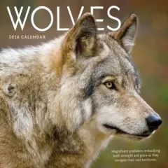 TF Publishing 13.5"x14.5" 2026 Wolves Wall Calendar
