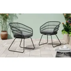 VASIP Set of 2 Rattan Dining Chairs with Water-Resistant Cushions and Sturdy Frame, Outdoor Wicker Patio Seating for Kitchen Patio Deck