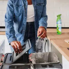 Febreze Odor-Fighting Air Freshener - Gain Original Scent - 8.8oz/2pk