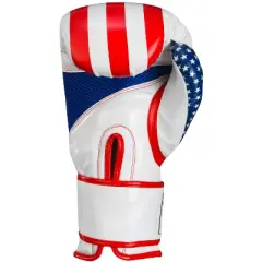 Title Boxing Infused Foam Combat USA Hook and Loop Training Gloves