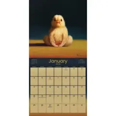 Trends International 2026 Lucia Heffernan Yoga Chicks 12"x12" Wall Calendar