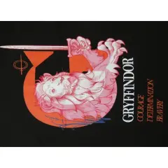 Harry Potter Gryffindor Lion Black T-shirt Toddler Boy to Youth Boy