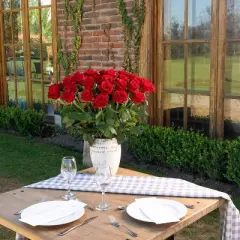 Fresh Cut 50-stem Red Roses