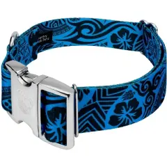 Country Brook Petz HossFit Jr Wide Premium Dog Collar - Attitude Collection