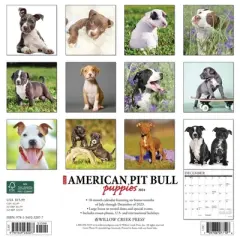 Willow Creek Press 2024 Wall Calendar 12"x12" Just American Pit Bull Puppies