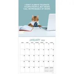 TF Publishing 2024 Wall Calendar 12"x12" Cooperate Cats