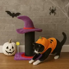 FURNIinspire Pet Tower Halloween Cat Tree Wizard Hat Cat Scratching Post, Cute Cat Toys Kitten Pet Furniture Indoor, Purple, 15.8"*11.8"*23.6"