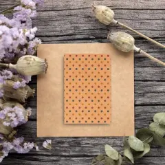 Best Paper Greetings 36 Pack Brown Kraft Polka Dot All Occasions Blank Greeting Cards Bulk Sets with Envelopes 4x6 in