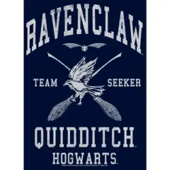 Boy's Harry Potter Ravenclaw Quidditch Seeker T-Shirt