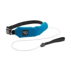 Nite Ize Raddog All-in-One Collar and Leash Combo - Dog Collar with Built-in Retractable Leash