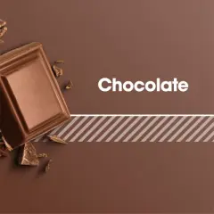 Optimum Nutrition Chocolate RTD Protein Shake 4pk/11oz: Non-Caffeinated Liquid Beverage