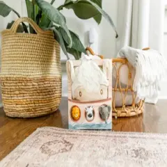 Tickle and Main Noahs Ark 5-Piece Baby Bath Toy Set