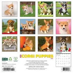 Willow Creek Press 2026 Corgi Puppies Wall Calendar