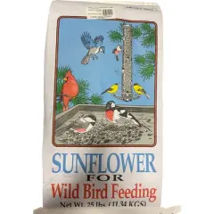 Generic Premium Sunflower Blend