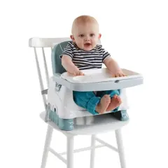 Fisher-Price Healthy Care Deluxe Booster Seat