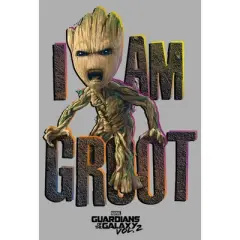 Boy's Marvel Guardians of Galaxy Vol. 2 Groot Growl T-Shirt
