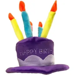 PetSport Happy Birthday Party Hat