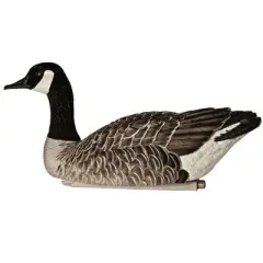 Avian X AXP Lessers : Active Pack of 6 Decoys