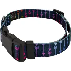 Country Brook Petz Deluxe Collar and Leash - Chevron and Arrows Collection