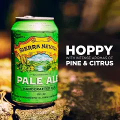 Sierra Nevada Pale Ale Beer - 12pk/12 fl oz Cans