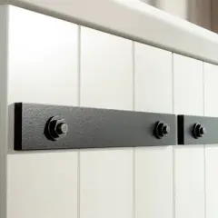 Homeplus 2 Door Kitchen Pantry Cabinet Soft White - Sauder