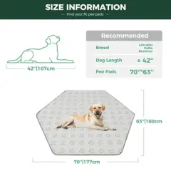 FXW Washable Pee Pads for Dogs, Puppy Pads with Super Absorbent, 1 Pack