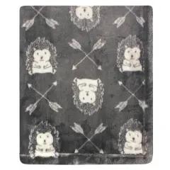 Hudson Baby Infant Boy Cozy Plush Luxury Blankets 2pk, Hedgehog, One Size