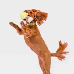 AWOO Canvas Mushie Plushie Dog Toy - Cream