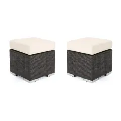 GDFStudio  Avianna Outdoor Wicker Ottomans with Cushion (Set of 2)