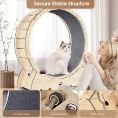 APRILSOUL Natural Wood Color Cat Exercise Wheel for Indoor Cats, Cat Running Wheel with Carpeted Runway