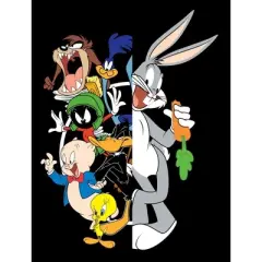 Looney Tunes Character Split Art Black T-shirt Toddler Boy to Youth Boy